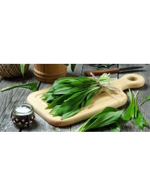 Art of Fondue - Cheese Fondue 'Bärlauch' Wild Garlic (600 g)
