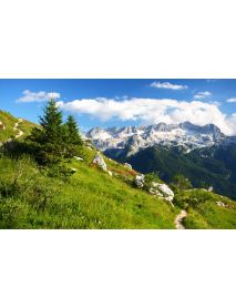 Alpin Natürlich - Marmot Cream 'Murmeli Salbe' (100 ML)