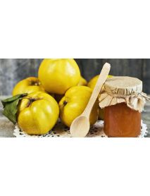 Ottiger - Quince Jam 'Quitten' (250 G)