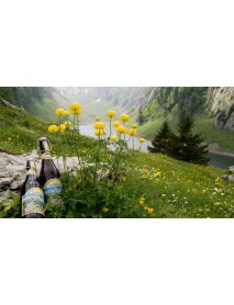 Appenzeller Bier - 'Quöllfrisch Hell' Premium Lager Beer (10 x 33 CL)