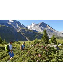Alpine Club - Light-Weight 'Trekking Backpack'