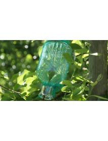 Morand – 'Williamine Carafe Poire Prisonniere' Pear Liqueur (60 CL)