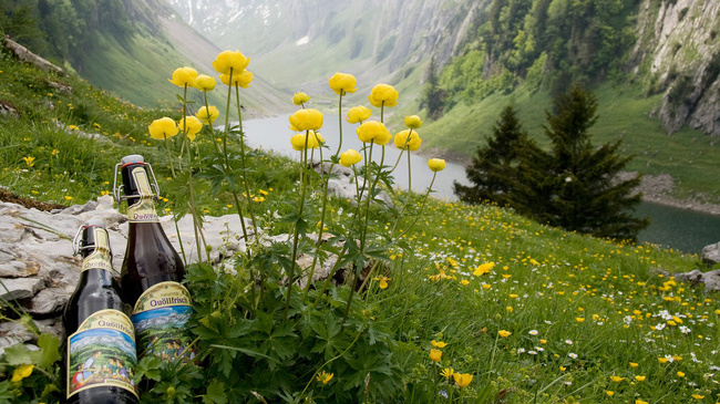 Appenzeller Bier – Swiss Beer Brewing Dedication and Passion