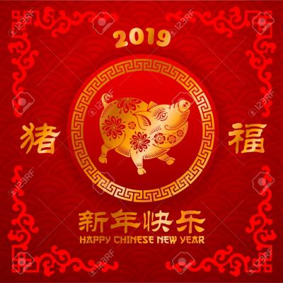 Happy Chinese New Year of the Pig!