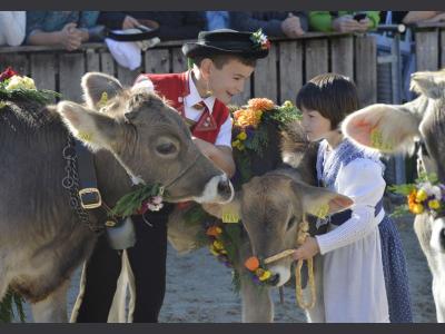 OLMA Festival St. Gallen 2024 Home of the Spiess OLMA Bratwurst