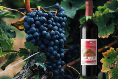Weinkellerei Rahm - Sauser ‘Herbst-Ziit isch Suuser-Ziit’ 