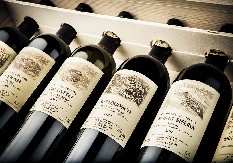 Agriloro – 2024 Award Winning Wines from the Ticino